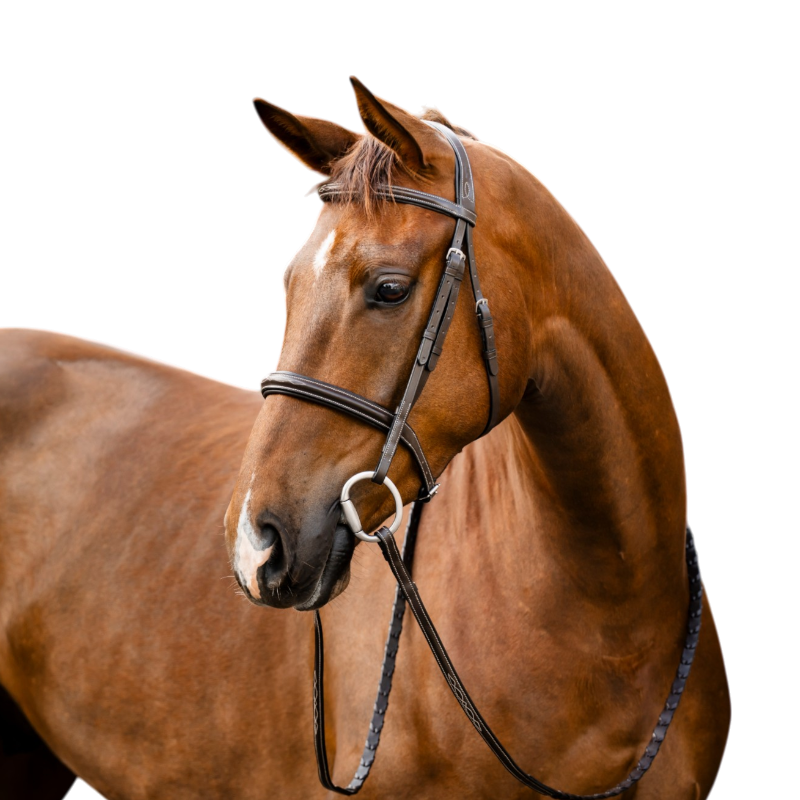 Horseware - Bridon Hunter marron | - Ohlala