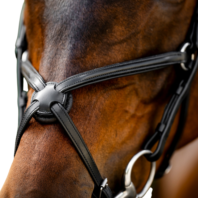 Horseware - Bridon muserolle croisée Figure noir | - Ohlala