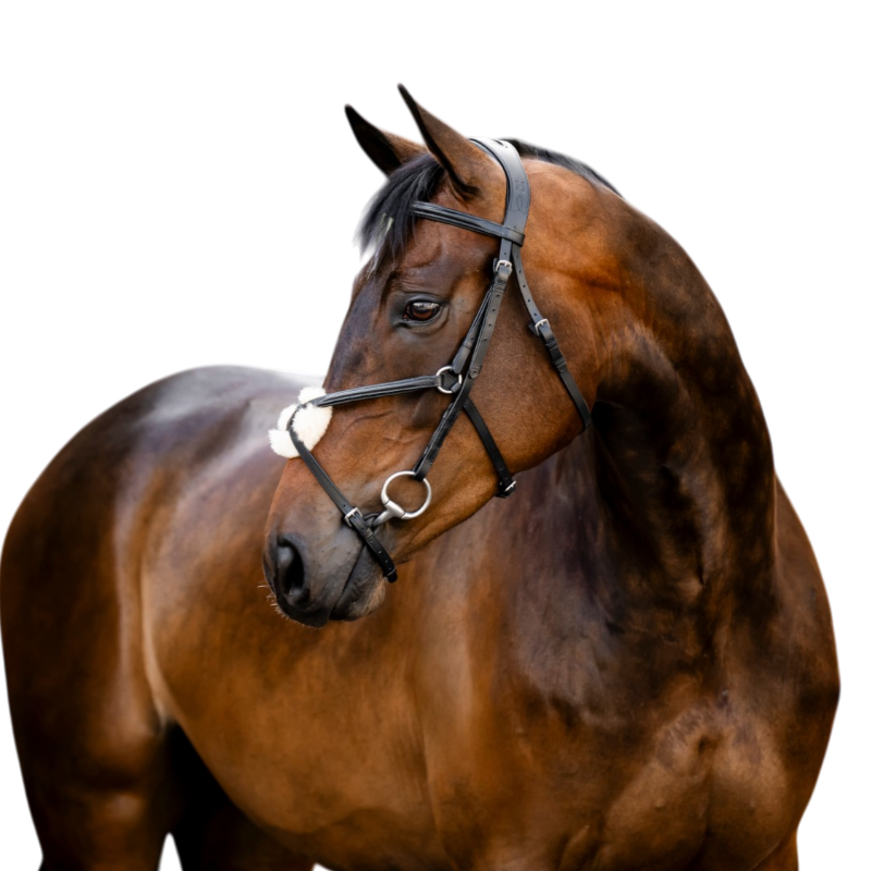 Horseware - Bridon muserolle croisée Figure noir | - Ohlala