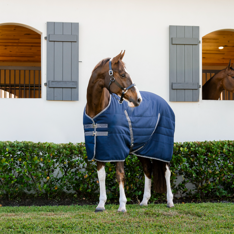 Horseware - Couverture de box Rambo Stable marine/ thunderstorm grey/ argent 400g | - Ohlala