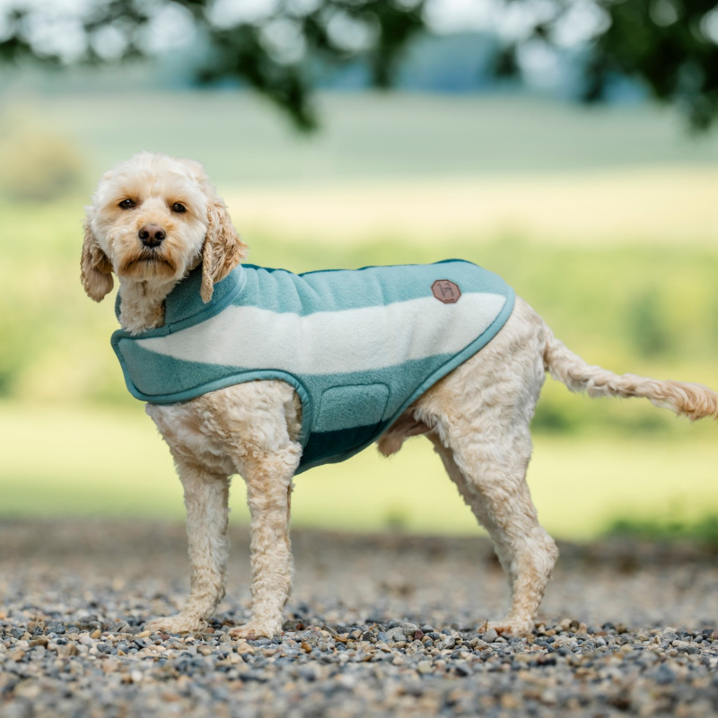 Horseware - Couverture pour chien Newmarket witney dynasty | - Ohlala