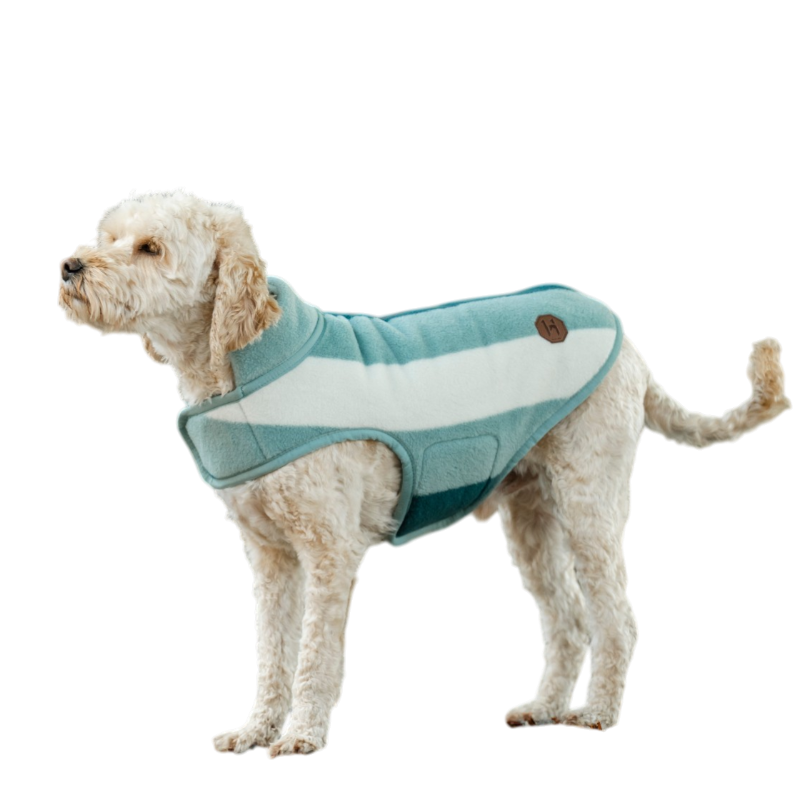 Horseware - Couverture pour chien Newmarket witney dynasty | - Ohlala