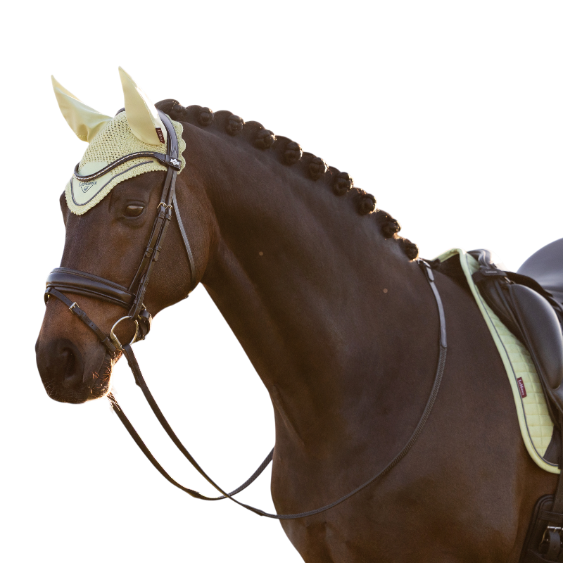 LeMieux - Bonnet pour chevaux Classic macaron | - Ohlala