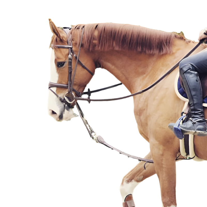 Jump'In - Enrênement Patrick | - Ohlala