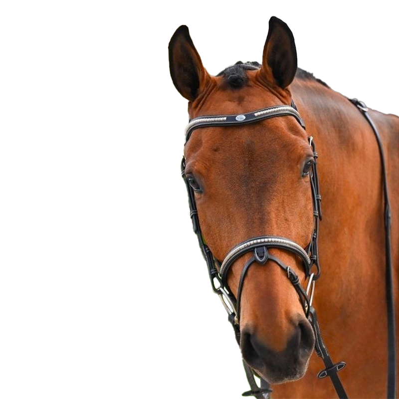 Jump'In - Bridon One Premium Clincher noir | - Ohlala