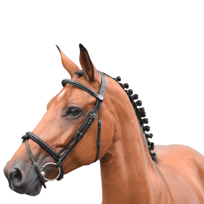 Jump'In - Bridon Week Thursday muserolle combinée avec rênes | - Ohlala