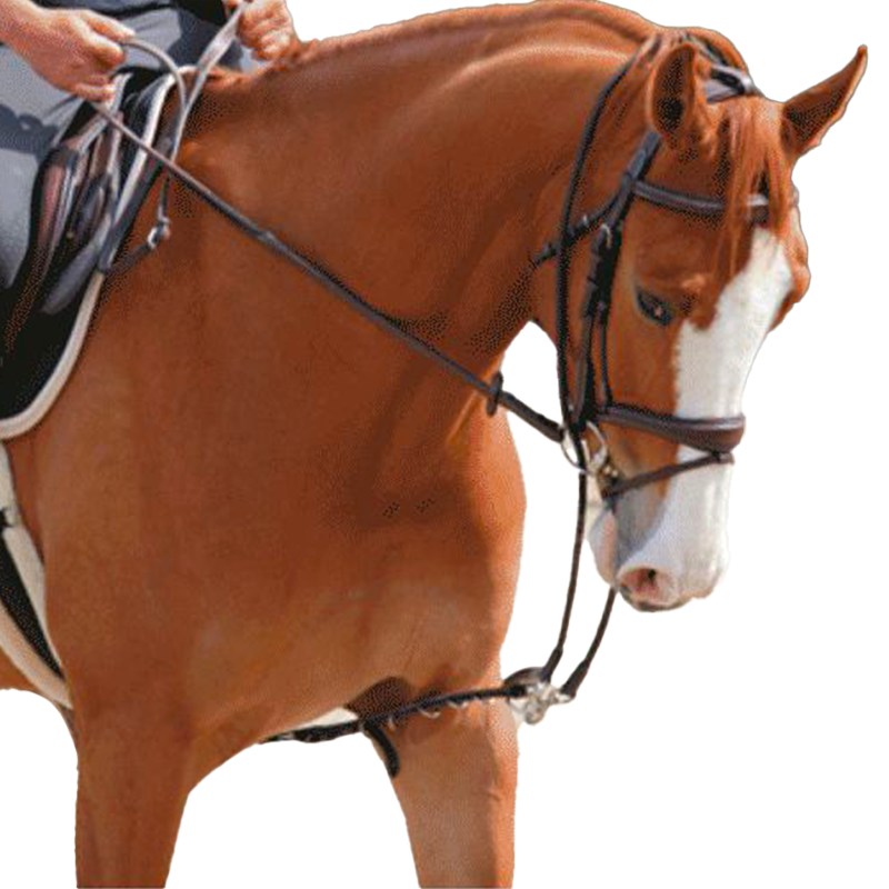 Jump'In - Enrênement Patrick | - Ohlala