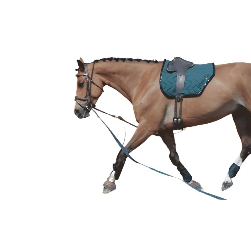 Jump'In - Enrênement Patrick | - Ohlala