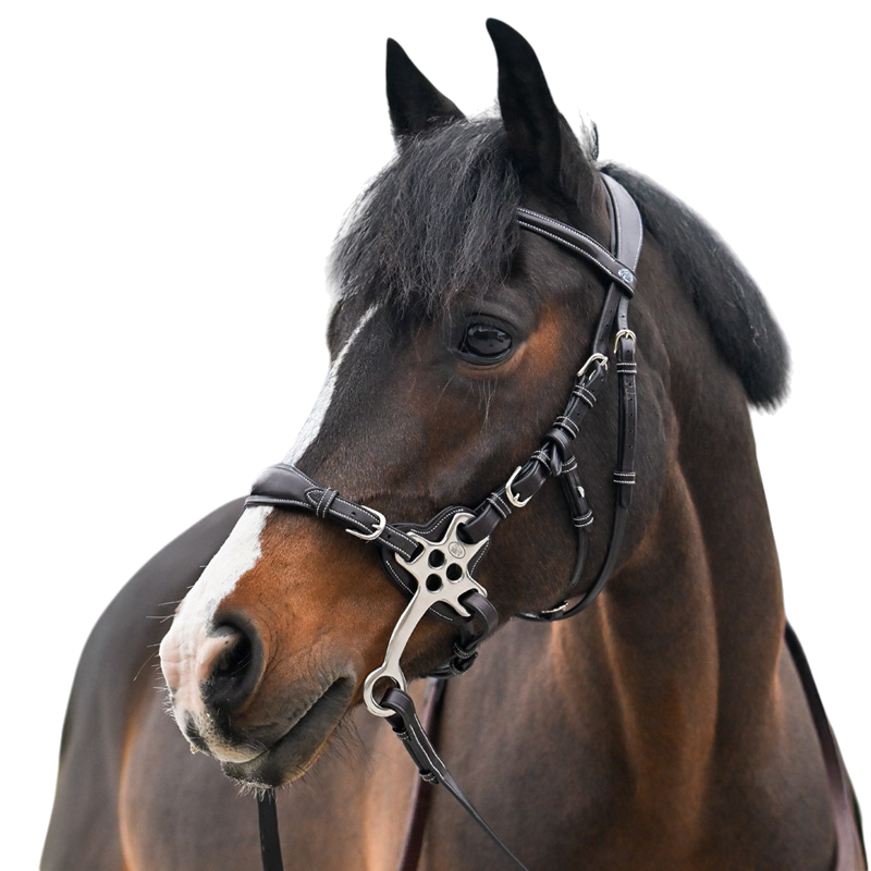 Jump'In - Bridon One Premium Hackamore havane | - Ohlala