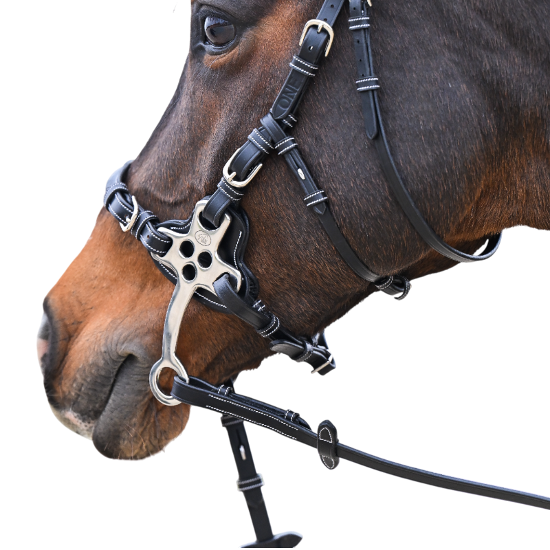 Jump'In - Bridon One Premium Hackamore havane | - Ohlala