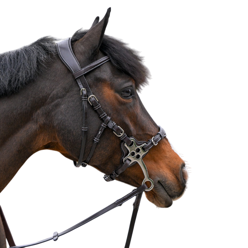 Jump'In - Bridon One Premium Hackamore havane | - Ohlala