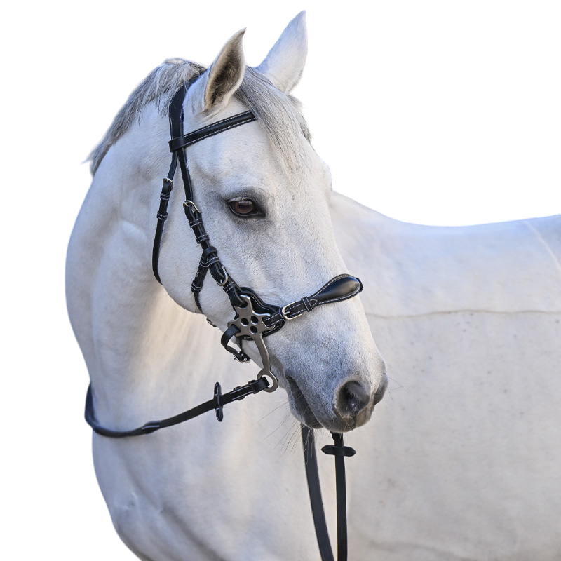 Jump'In - Bridon One Premium Hackamore noir | - Ohlala