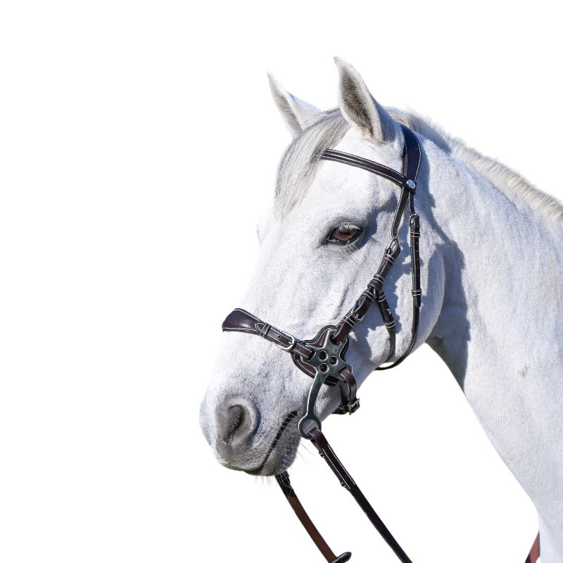 Jump'In - Bridon One Premium Hackamore noir | - Ohlala