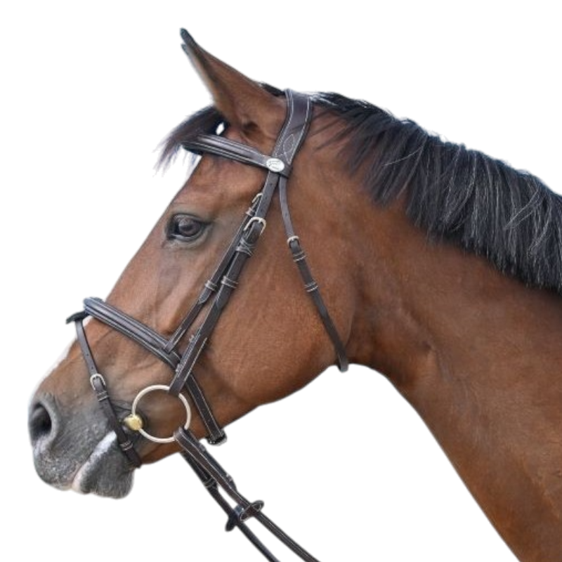 Jump'In - Bridon Tuesday collection Week havane | - Ohlala