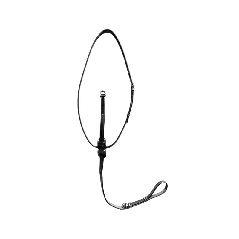 Jump'In - Collier de martingale amovible Week noir | - Ohlala