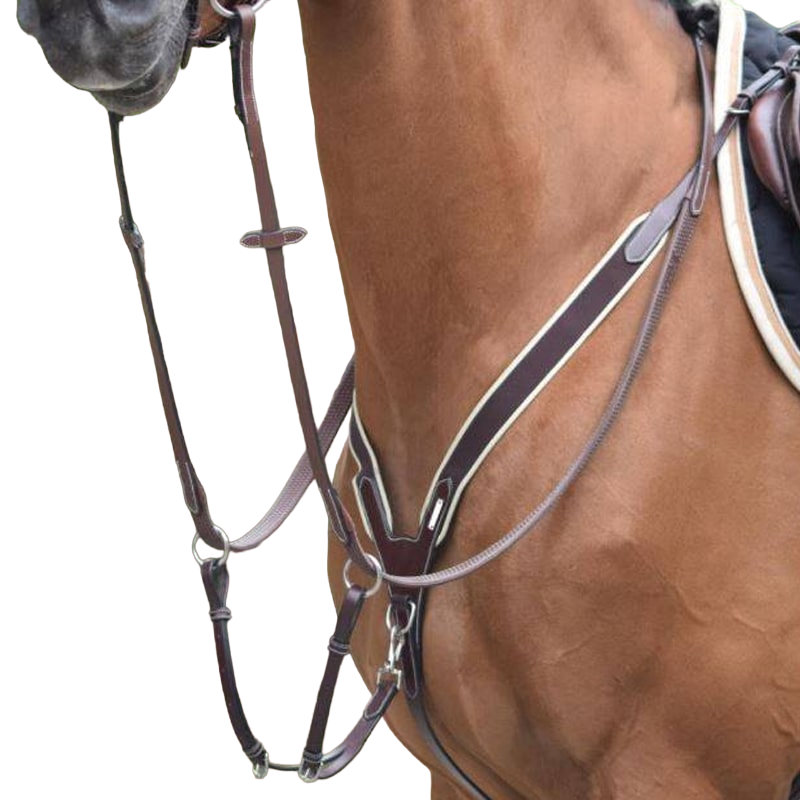 Jump'In - Collier de chasse élastique + martingale One Noisette | - Ohlala