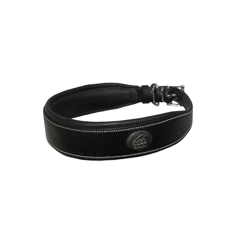 Jump'In - Colliers pour chien | - Ohlala