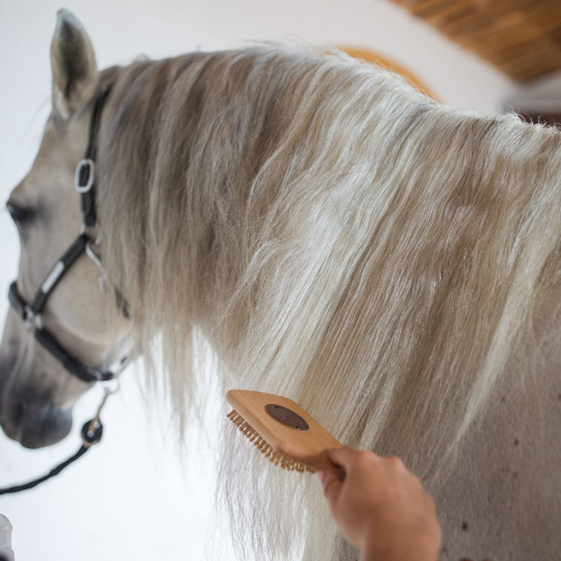 Karitale - Soin démêlant pour crins | - Ohlala
