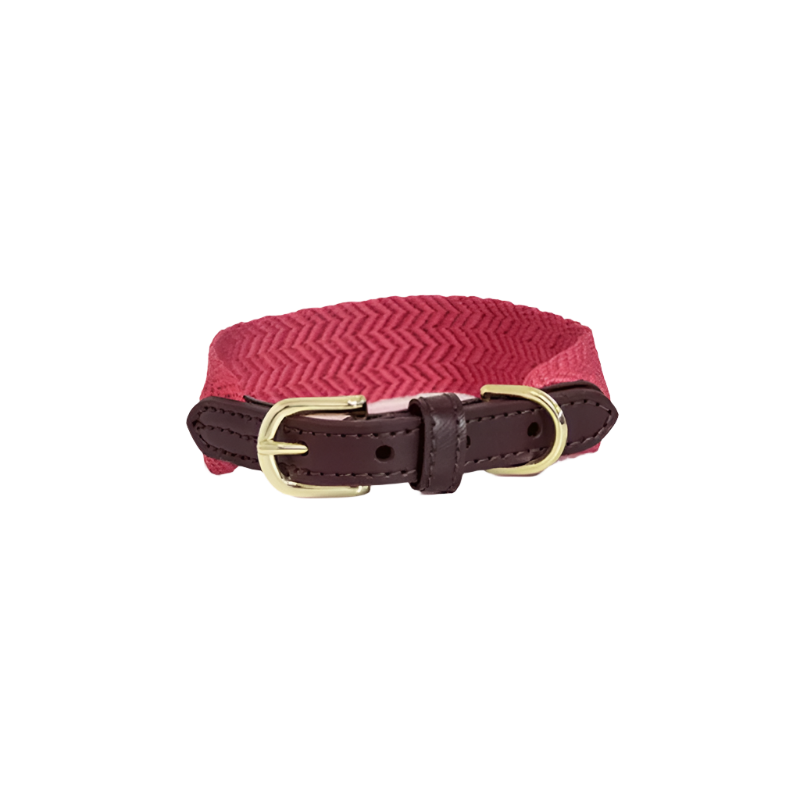 Kentucky Dogwear - Collier pour chien Jacquard rose | - Ohlala