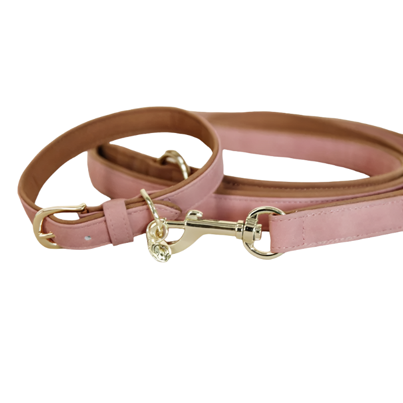 Kentucky Dogwear - Collier pour chien vegan leather peach/brown | - Ohlala