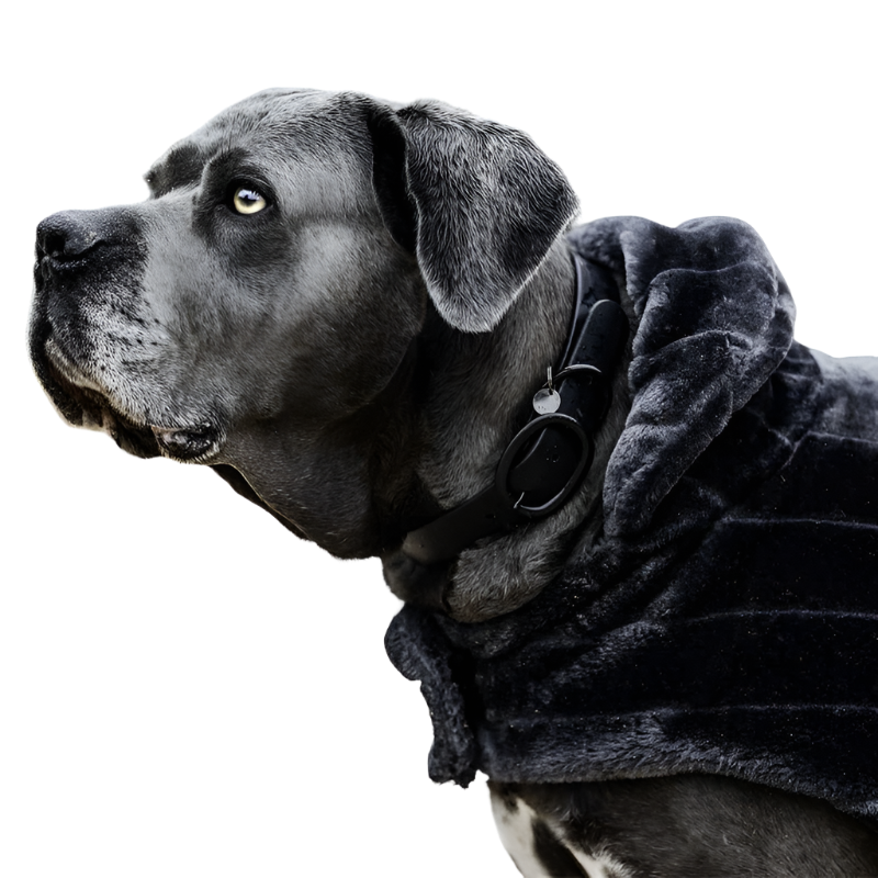 Kentucky Dogwear - Collier pour chien Soft Rubber noir | - Ohlala