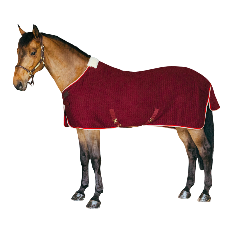 Kentucky Horsewear - Chemise séchante Protherm bordeaux | - Ohlala