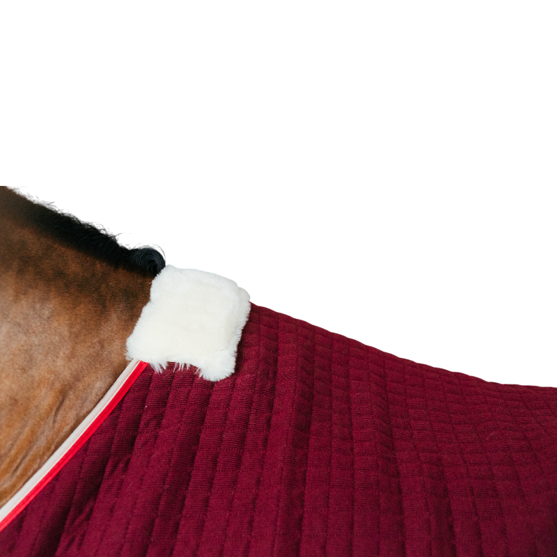 Kentucky Horsewear - Chemise séchante Protherm bordeaux | - Ohlala