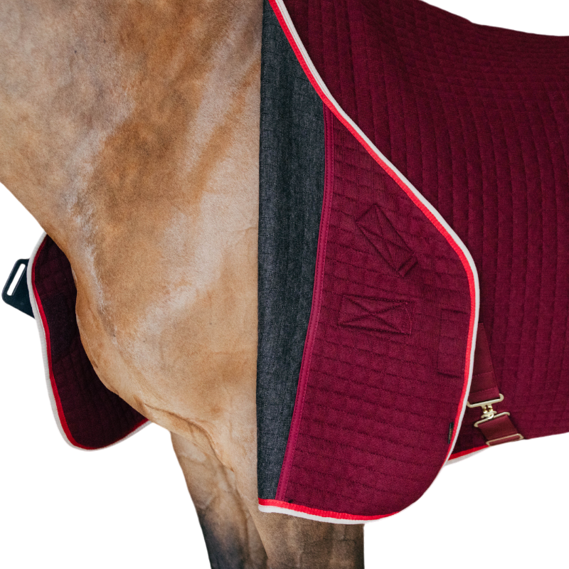 Kentucky Horsewear - Chemise séchante Protherm bordeaux | - Ohlala