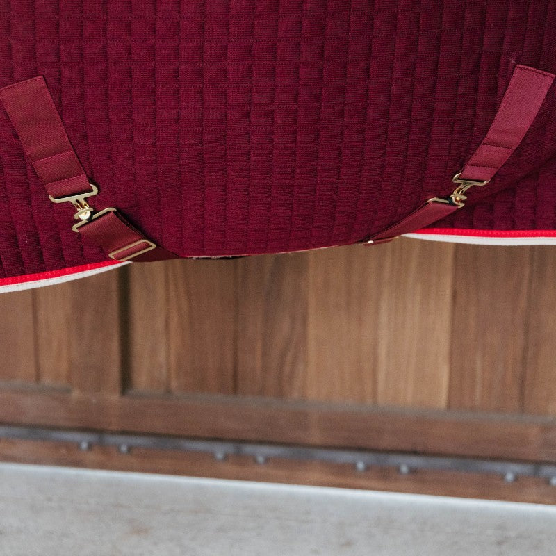 Kentucky Horsewear - Chemise séchante Protherm bordeaux | - Ohlala