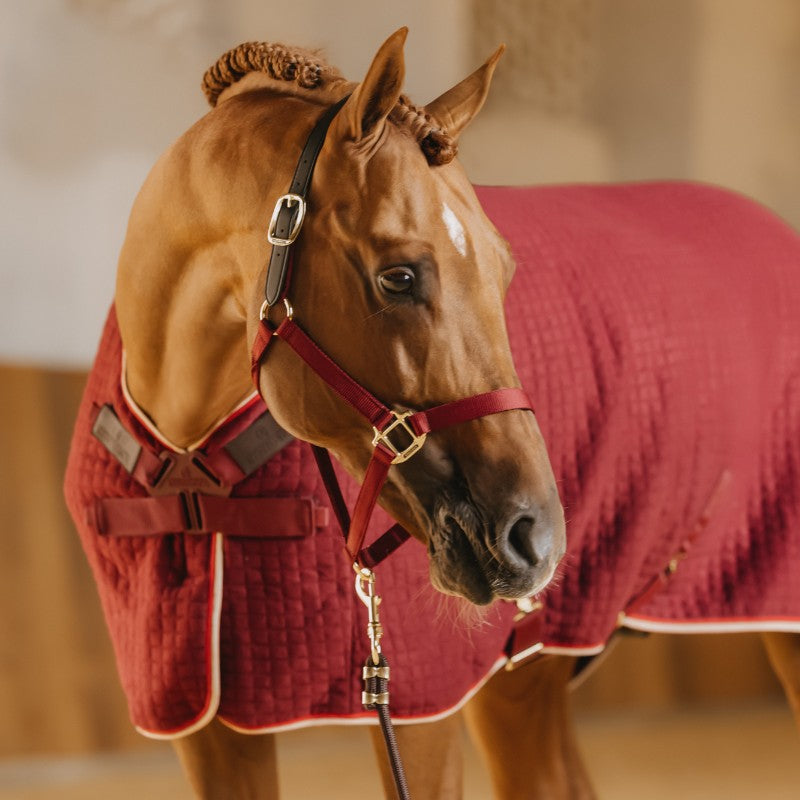 Kentucky Horsewear - Chemise séchante Protherm bordeaux | - Ohlala
