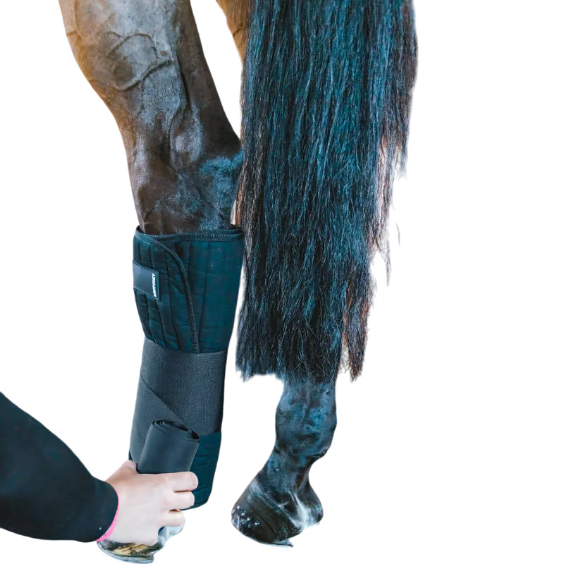 Kentucky Horsewear - Coton Stable Bandage Wraps noir (x4) | - Ohlala