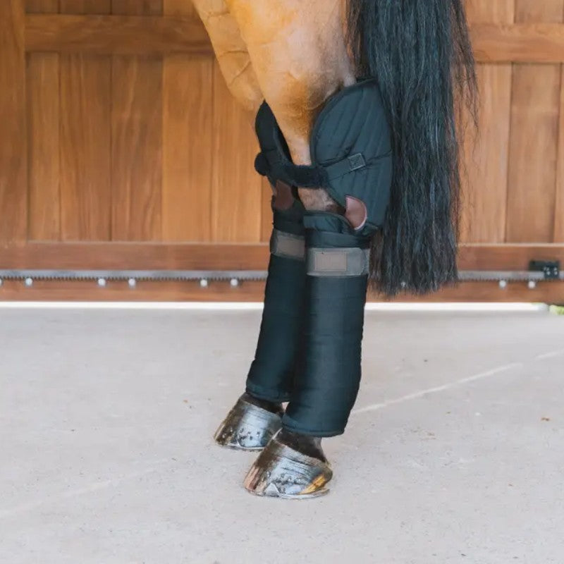 Kentucky Horsewear - Protections de transport noir (x2) | - Ohlala
