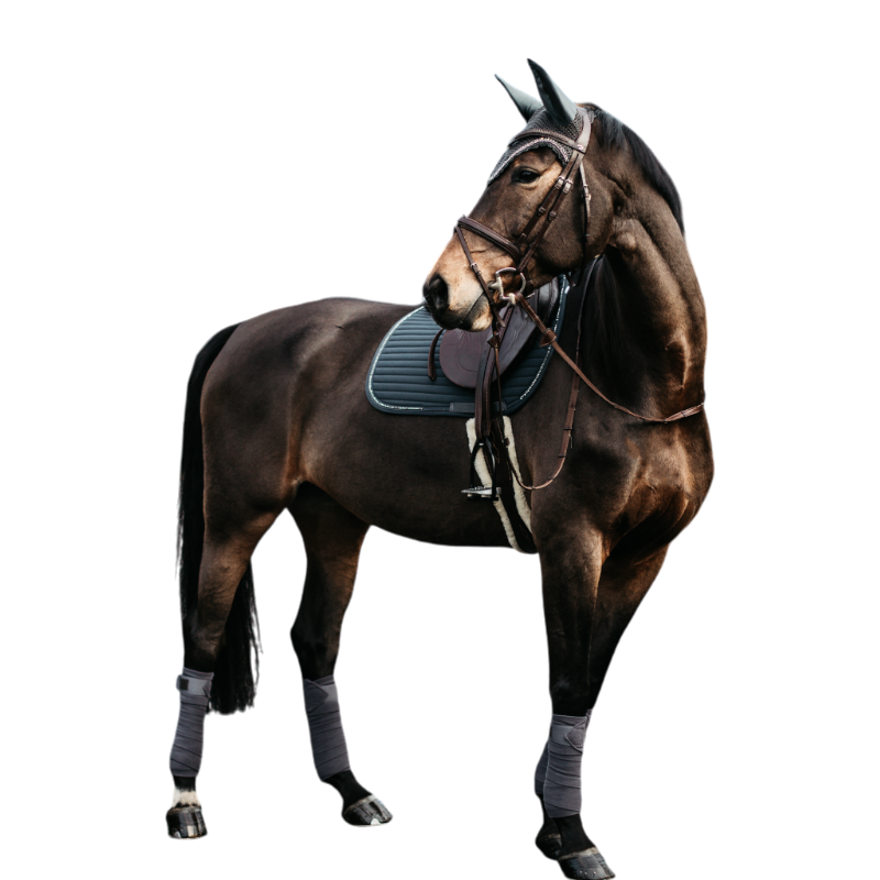 Kentucky Horsewear - Bandes de polo polaire Show Vegan Wool gris (x4) | - Ohlala