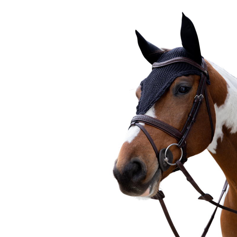 Kentucky Horsewear - Bonnet anti-mouches long marine | - Ohlala