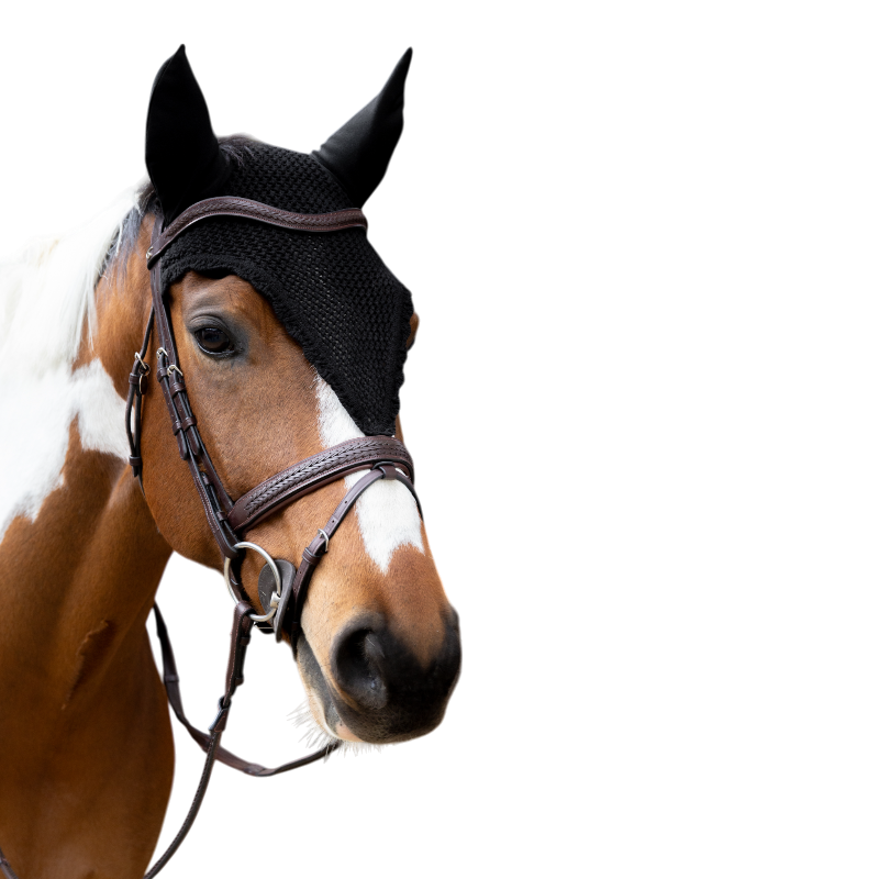 Kentucky Horsewear - Bonnet anti-mouches long noir | - Ohlala