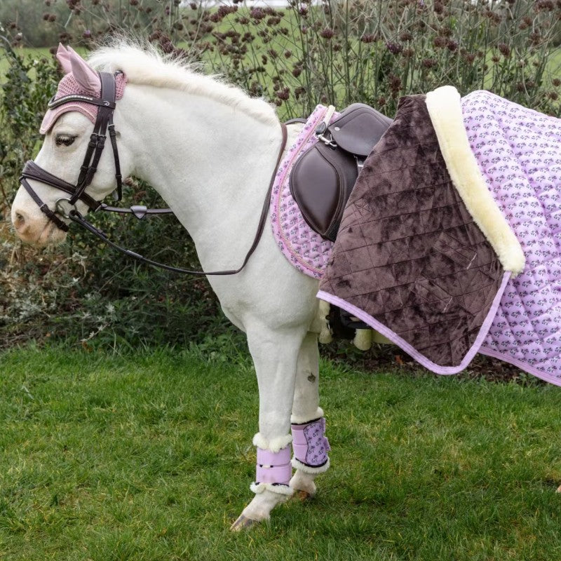 Kentucky Horsewear - Couverture de présentation Sammy Collection vieux rose 160g | - Ohlala