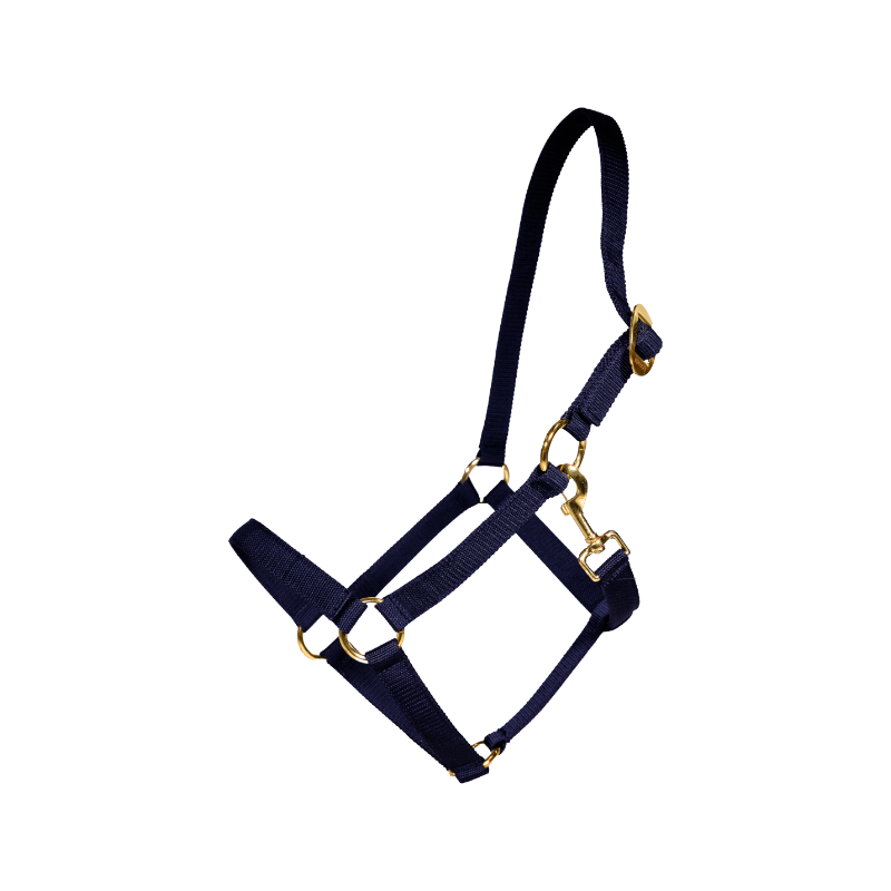 Kentucky Horsewear - Licol Nylon marine | - Ohlala