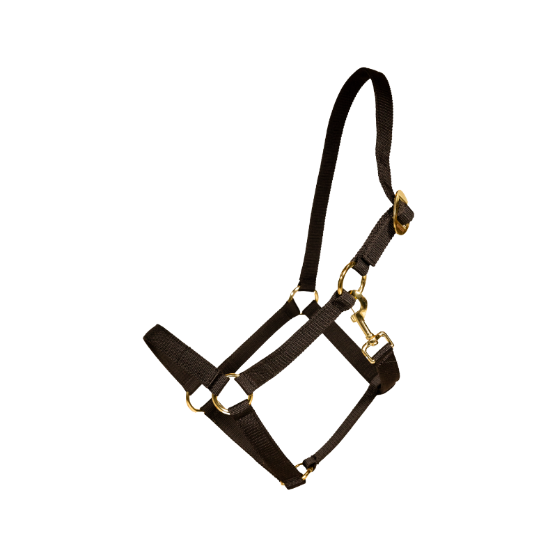 Kentucky Horsewear - Licol Nylon noir | - Ohlala