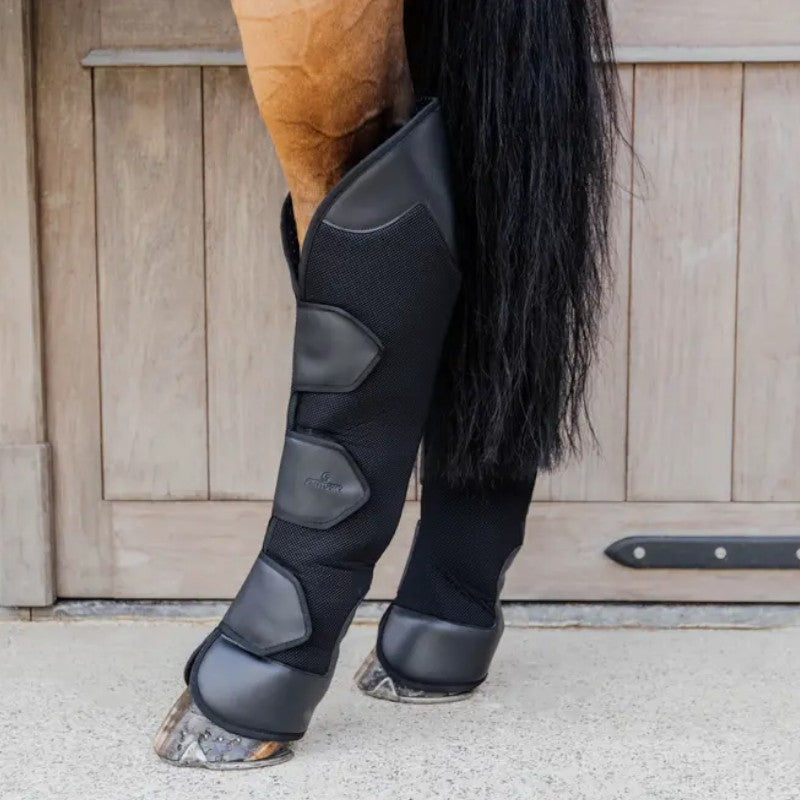 Kentucky Horsewear - Protections de transport postérieurs (x2) | - Ohlala