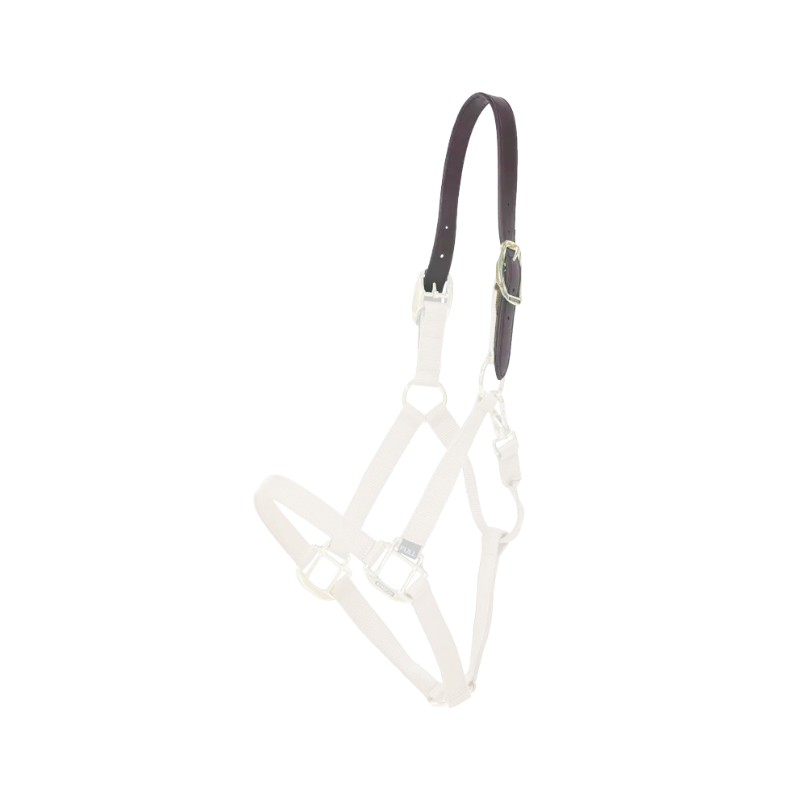 Kentucky Horsewear - Têtière pour licol Nylon Breakaway marron | - Ohlala