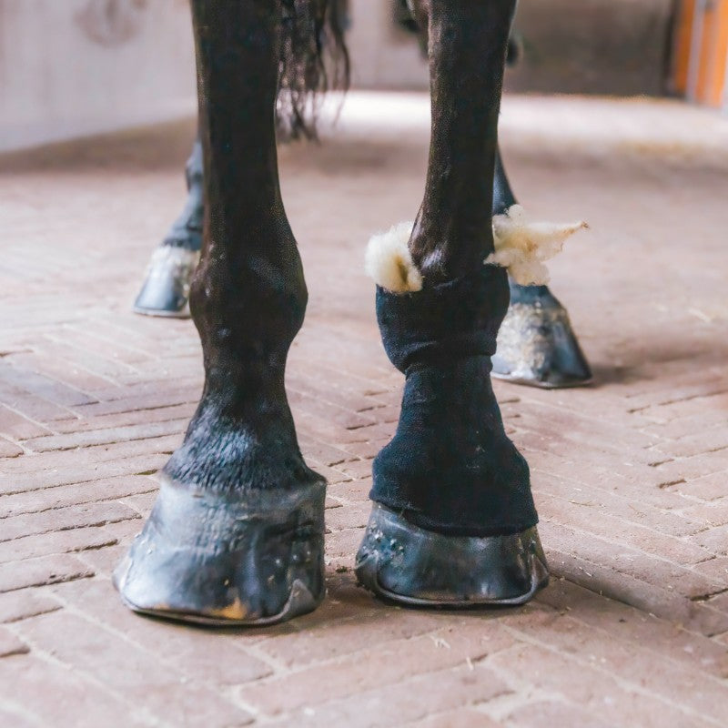 Grooming Deluxe - Laine thérapeutique | - Ohlala