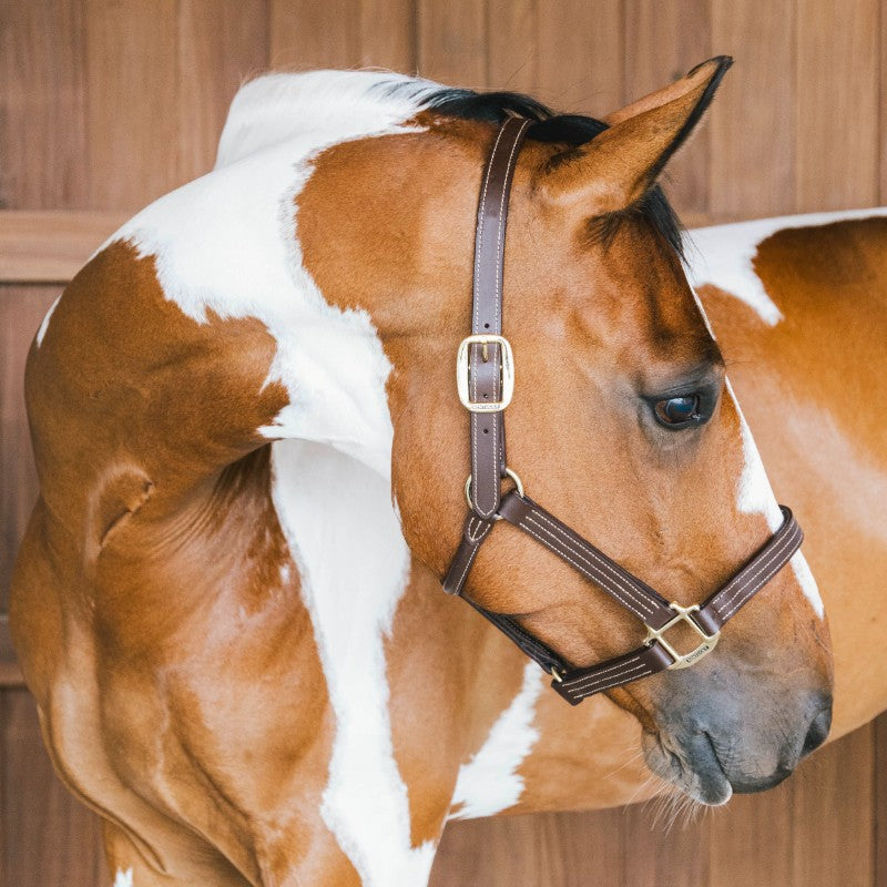 Kentucky Horsewear - Licol en cuir Wellington brun | - Ohlala