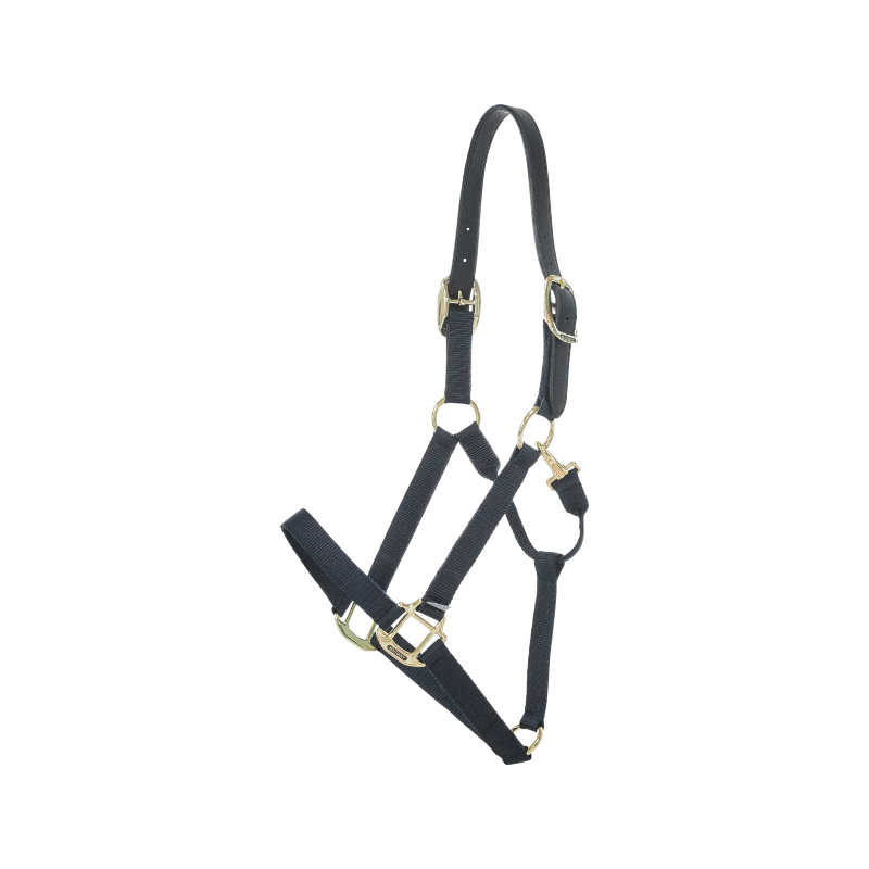 Kentucky Horsewear - Licol nylon Breakaway noir | - Ohlala