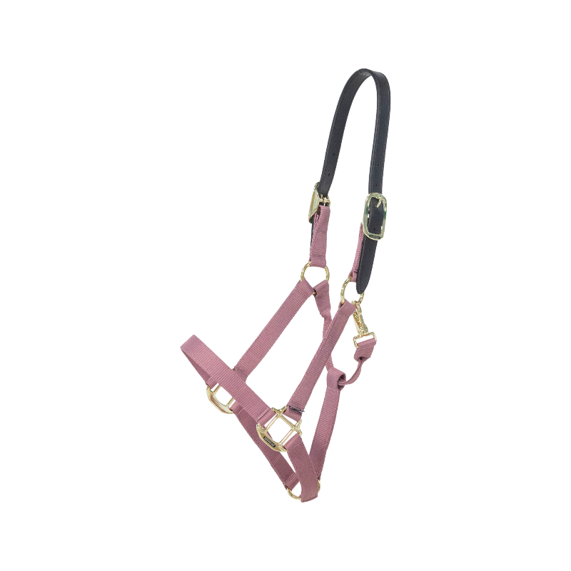 Kentucky Horsewear - Licol nylon Breakaway vieux rose | - Ohlala