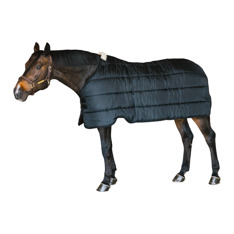 Kentucky Horsewear - Sous-couverture Confort Liner 100g marine | - Ohlala