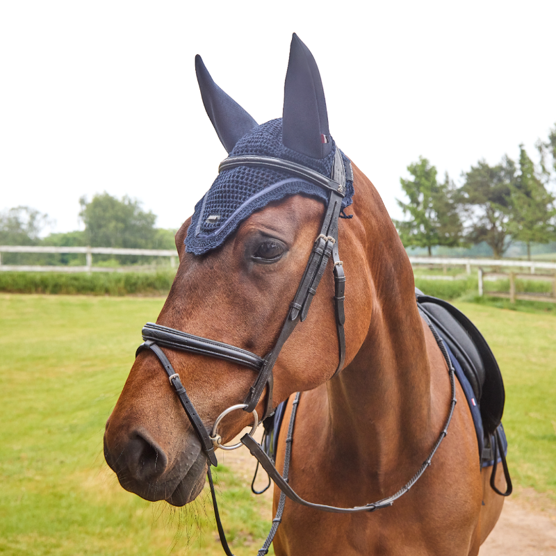 Kingsland - Bonnet pour chevaux KLNelly marine | - Ohlala