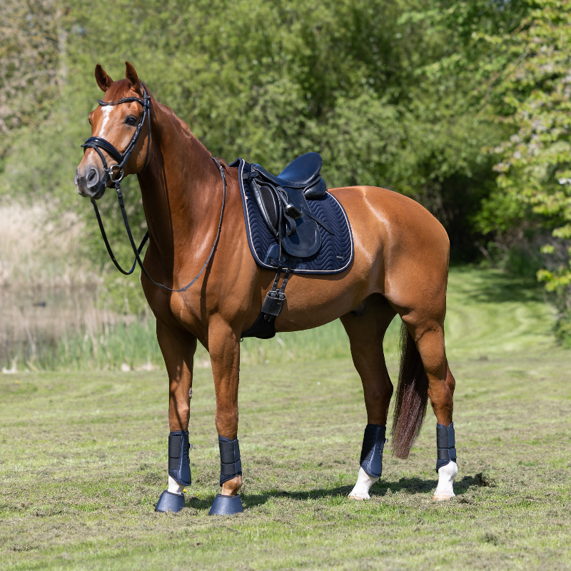 Kingsland - Tapis de dressage KLLucca Cooling marine | - Ohlala