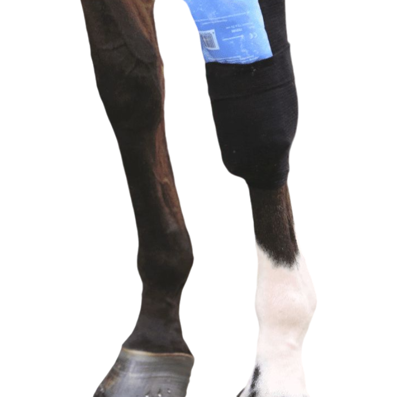 Kentucky Horsewear - Bande Tendon Grip (x1) | - Ohlala