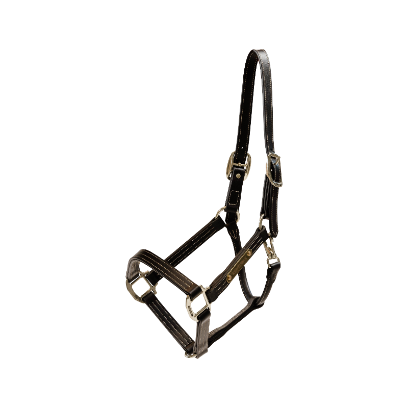 Kentucky Horsewear - Licol en cuir Wellington brun | - Ohlala