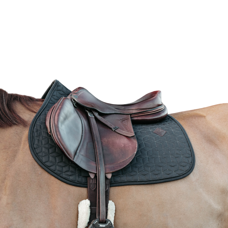 Kentucky Horsewear - Tapis de selle Basic gris anthracite | - Ohlala